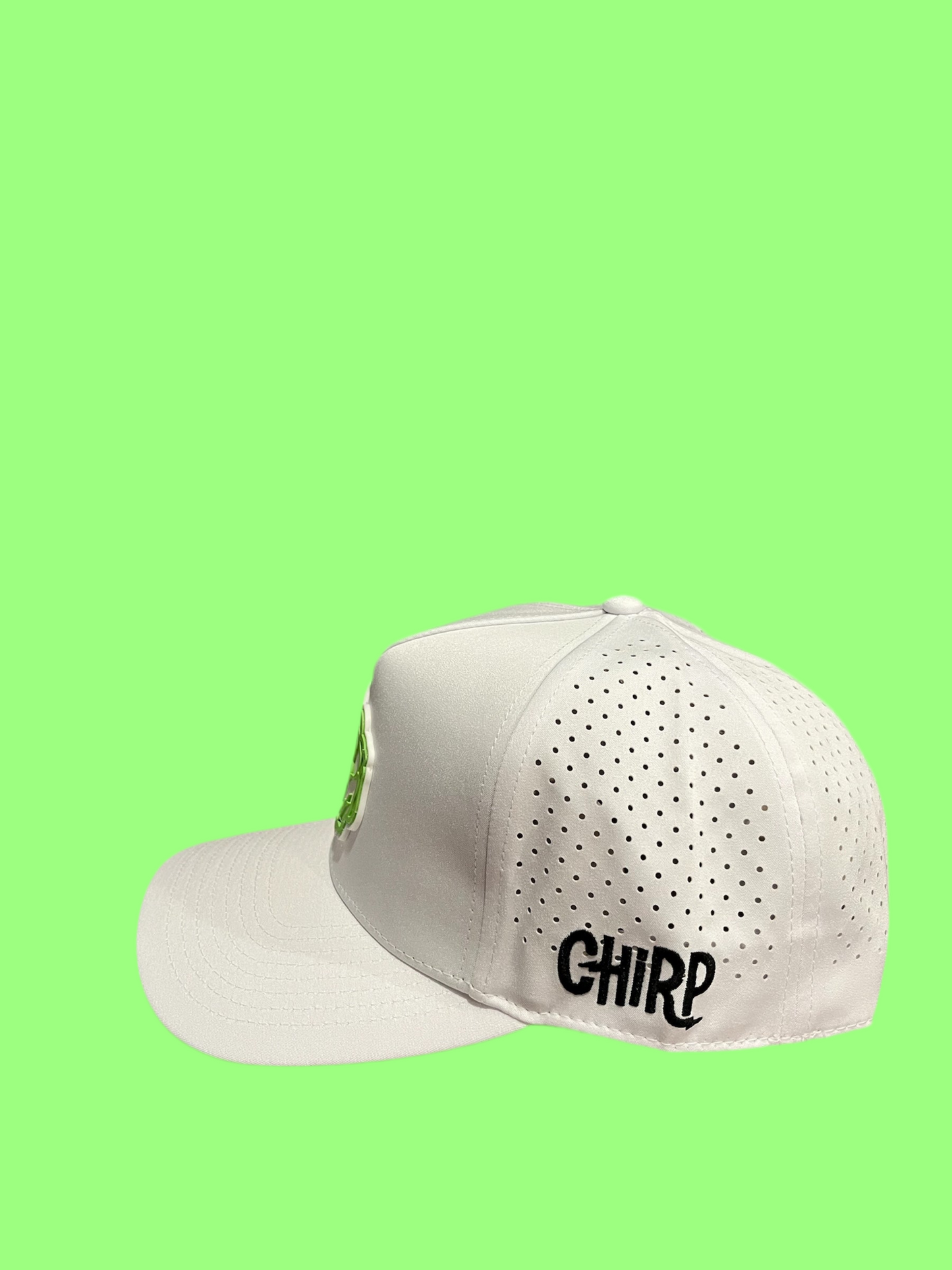 Crisp Lettuce Snapback