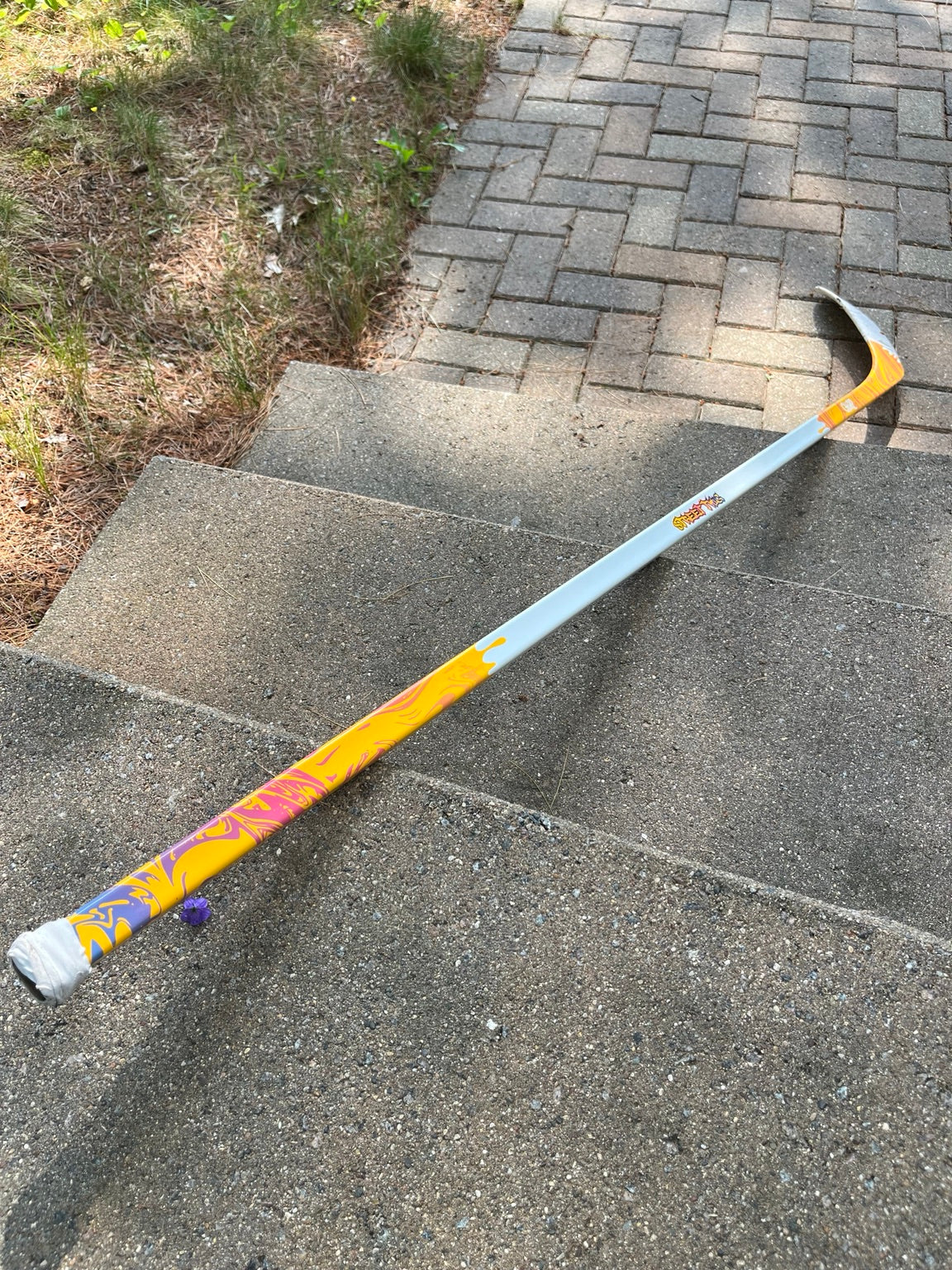 Street Twig on pavement